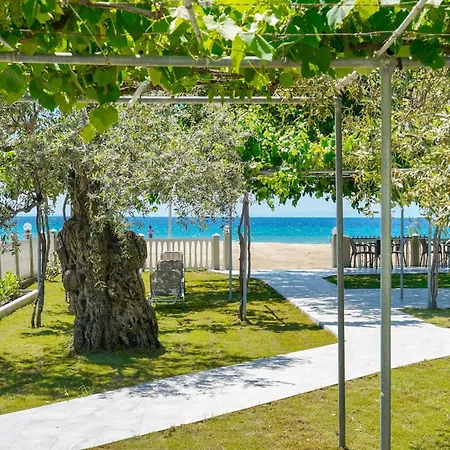 Olivento Front 3* 波托什