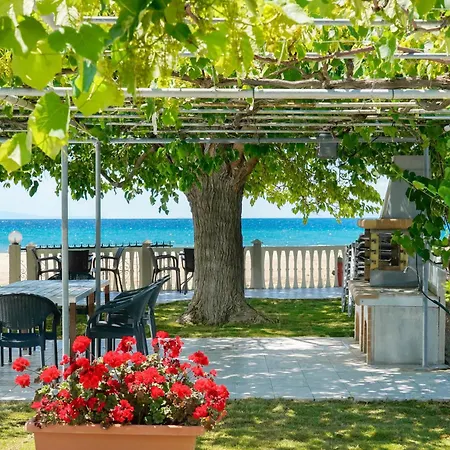 招待所 Olivento Front 3*