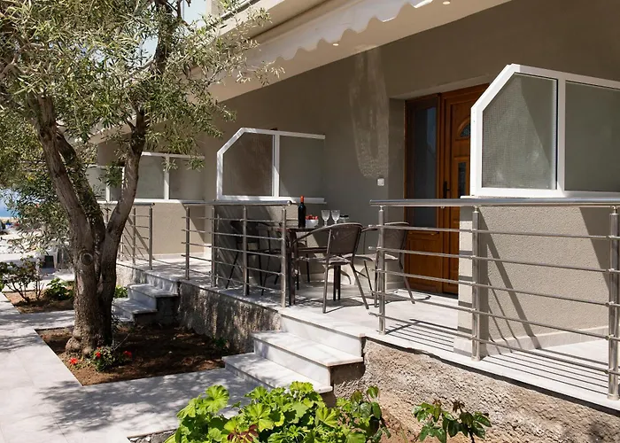 Olivento Front 3* ポトス