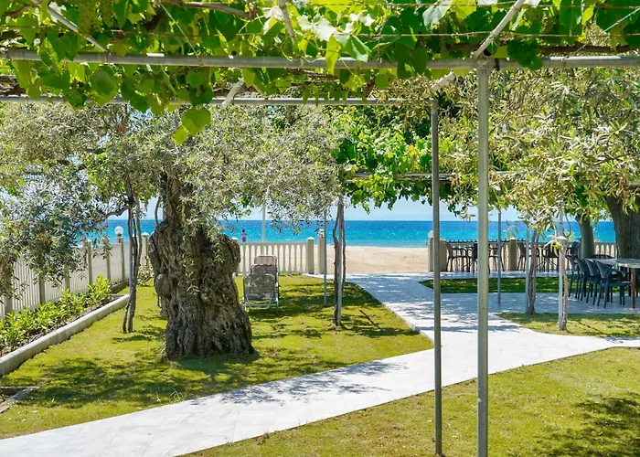 Olivento Front 3* ポトス